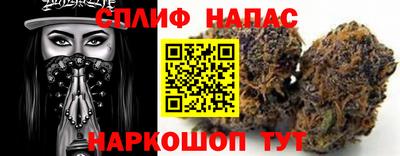 гидропоника Можга