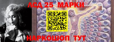 гидропоника Можга