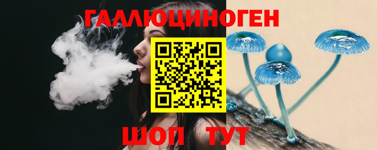Галлюциногенные грибы Psilocybine cubensis  Вход с VPN  Ялта 